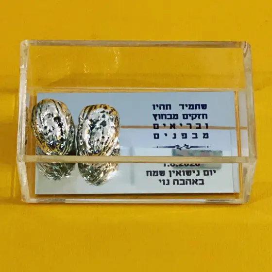 מתנה ליום נישואים - זוג אגוזים יצוקים בכסף אמיתי עם מסר מיוחד